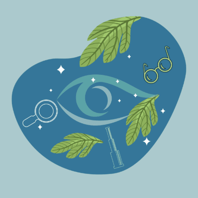 La séance de yoga des yeux du lundi